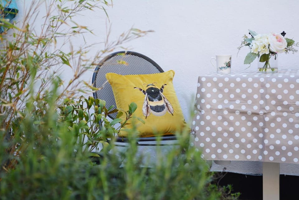 Patio, Garden