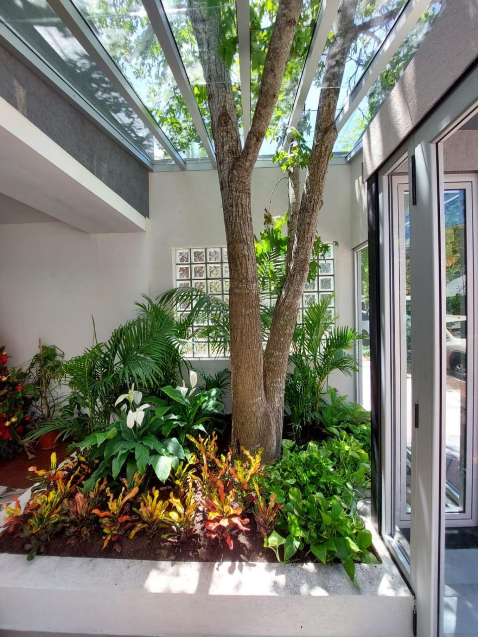 Property building, Day