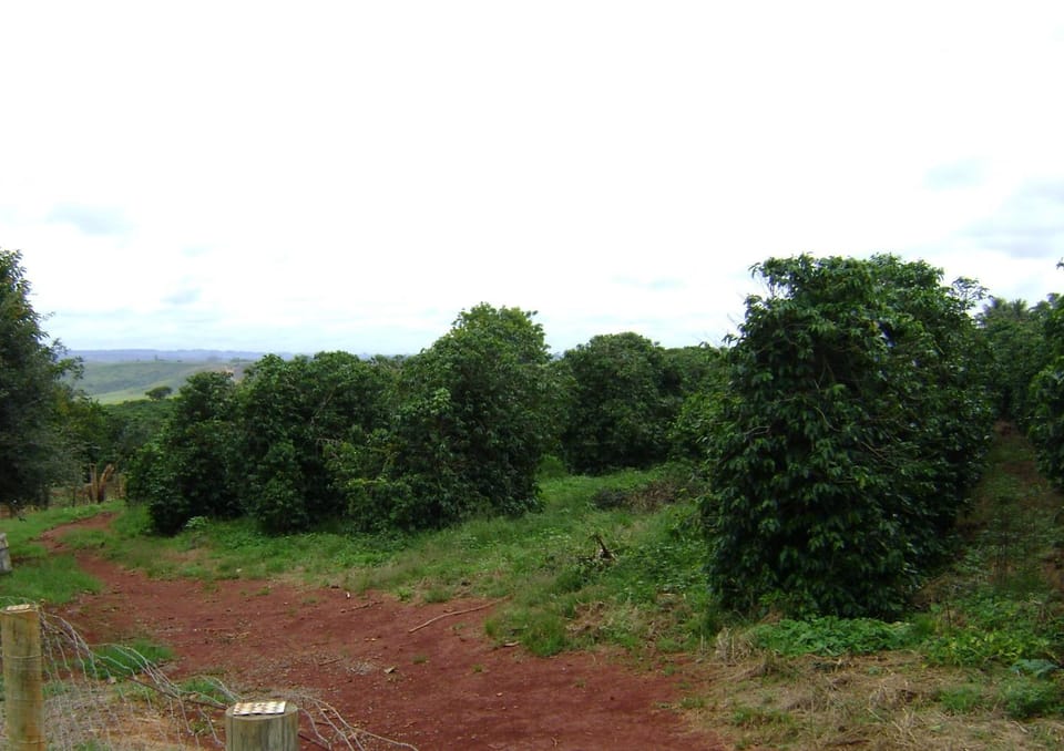 Natural landscape