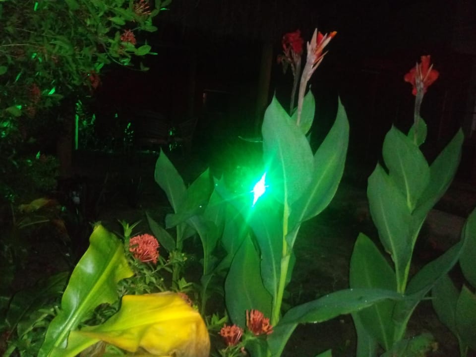 Pousada Luar de Monte Cristo Inn in State of Bahia