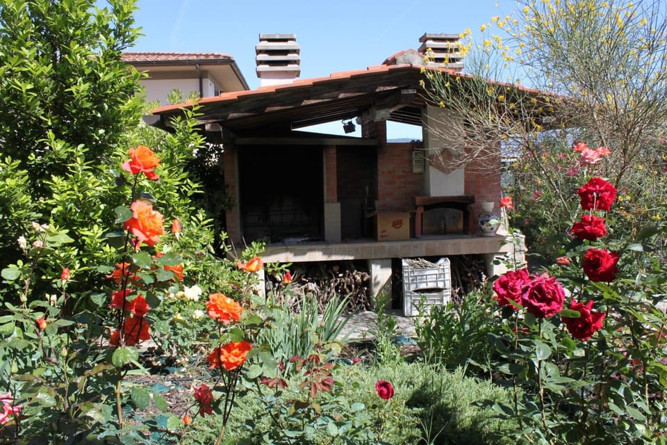 BBQ facilities, Garden, Garden view, oven