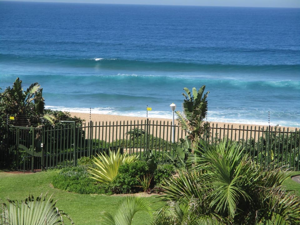 Garden, Sea view