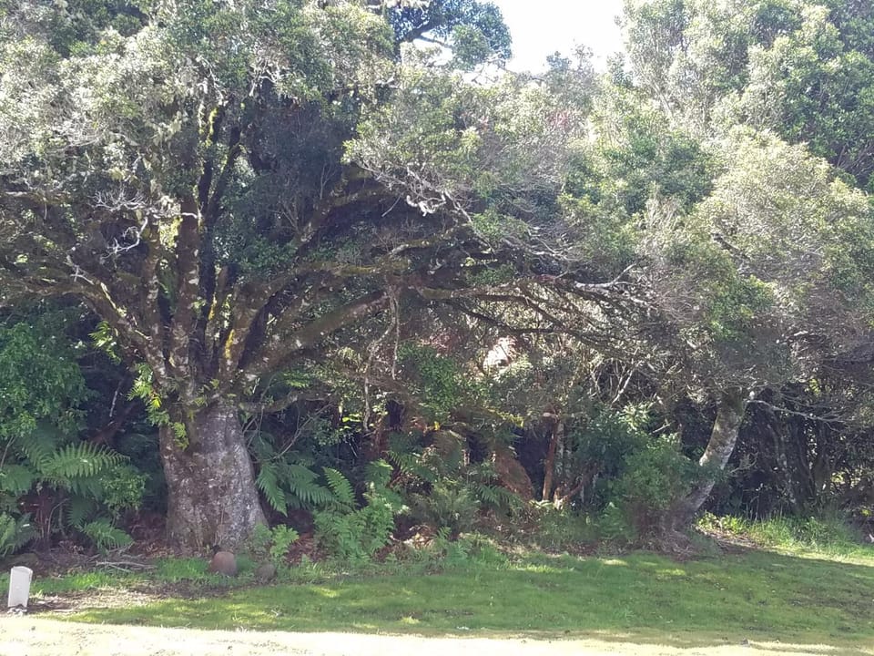 Riversong Bed and Breakfast in Manawatū-Whanganui, New Zealand