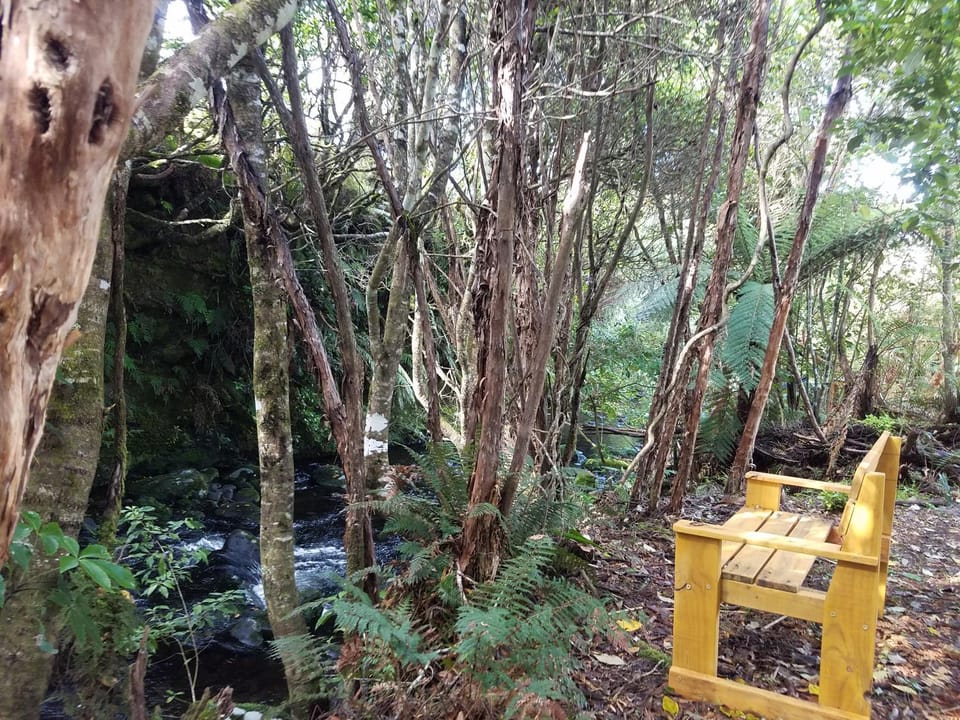 Riversong Bed and Breakfast in Manawatū-Whanganui, New Zealand