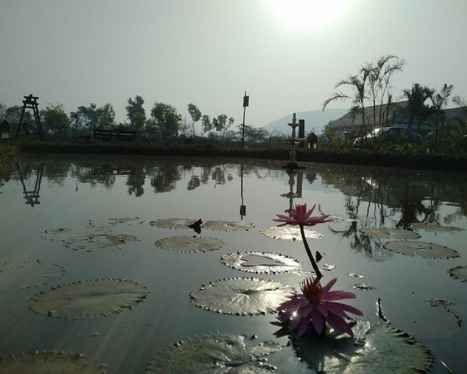 Natural landscape
