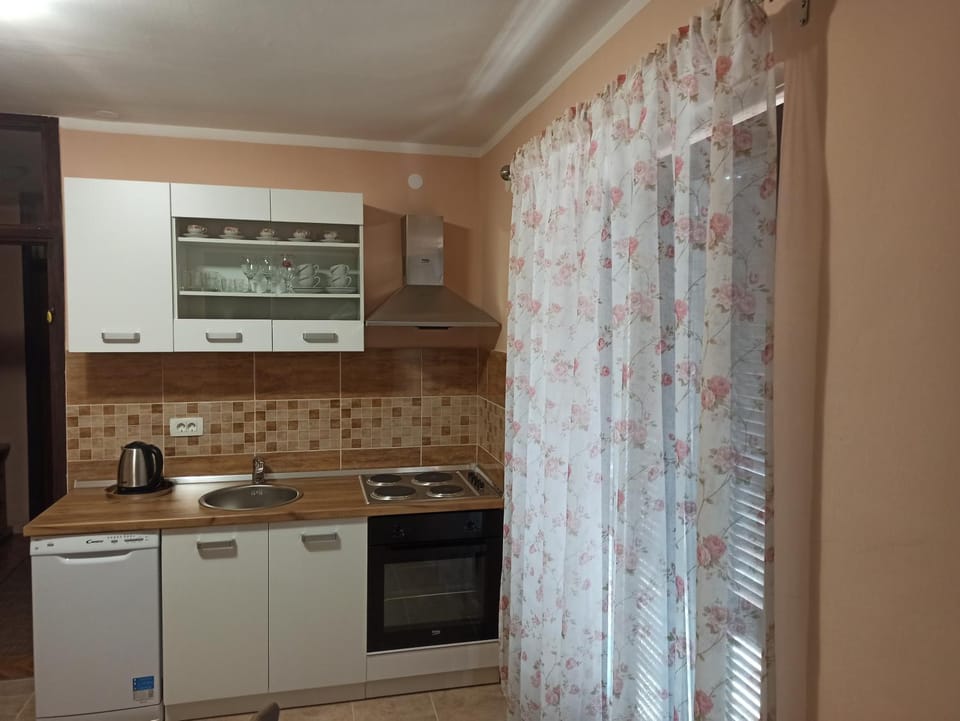 Kitchen or kitchenette, dishwasher