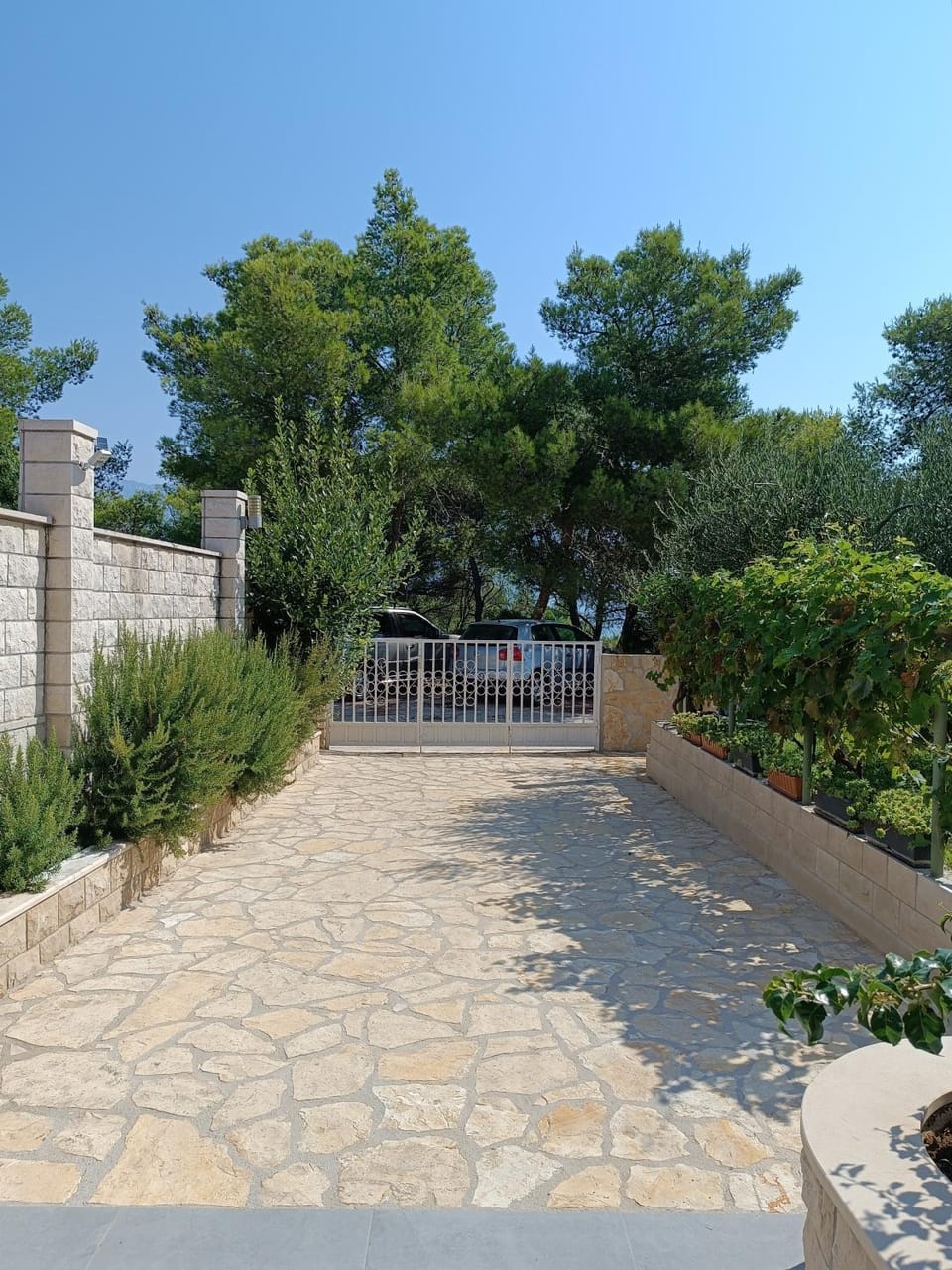 Garden, Garden view, Parking
