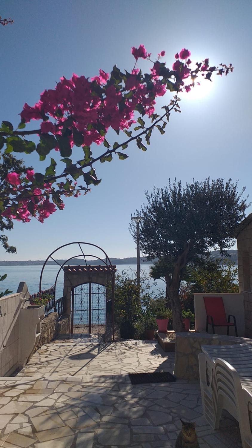 Day, Natural landscape, Beach, Garden view, Sea view