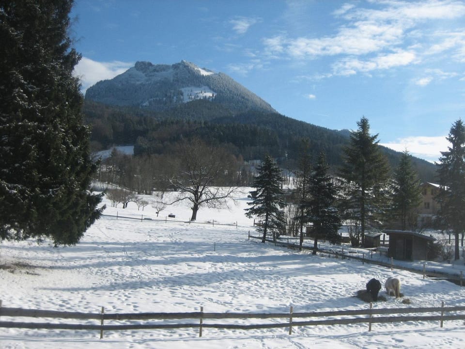 Winter, Mountain view