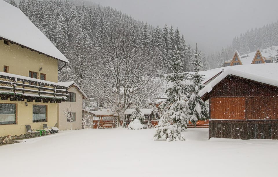 Pensiunea Tara Bed and Breakfast in Brașov County