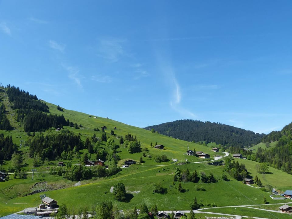Appartement cosy, pied de piste, cheminée, animaux admis - FR-1-304-153 Apartment in La Clusaz