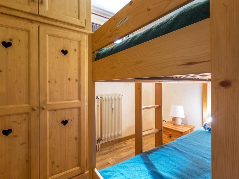 Studio sur pistes ski nordique, animaux admis - FR-1-304-120 Apartment in La Clusaz