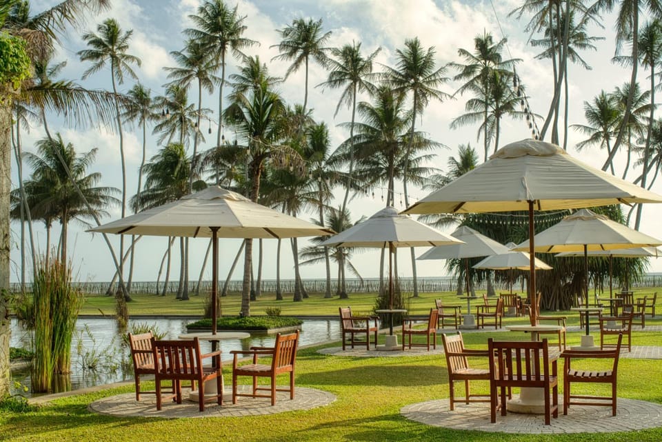 Natural landscape, Garden, Beach, Garden view, Sea view