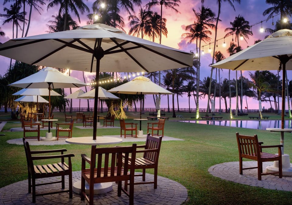 Garden, Garden view, Pool view, Swimming pool, Sunset, sunbed