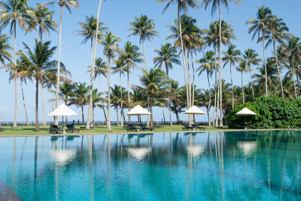 Day, Garden, Garden view, Pool view, Swimming pool, sunbed