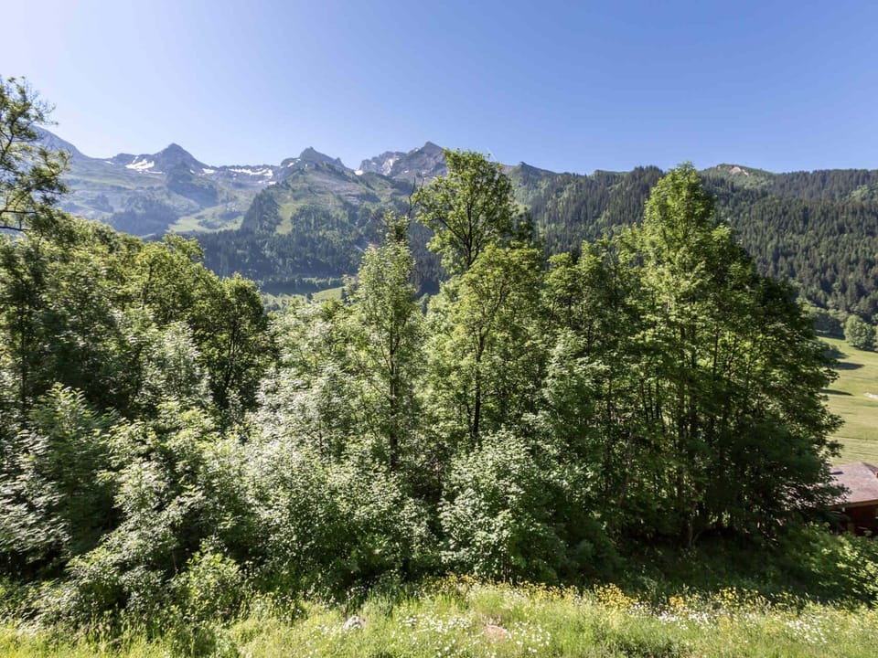 Demi-chalet moderne, 3***, animaux admis, garage, proche télécabines - FR-1-304-2 Cabin in La Clusaz