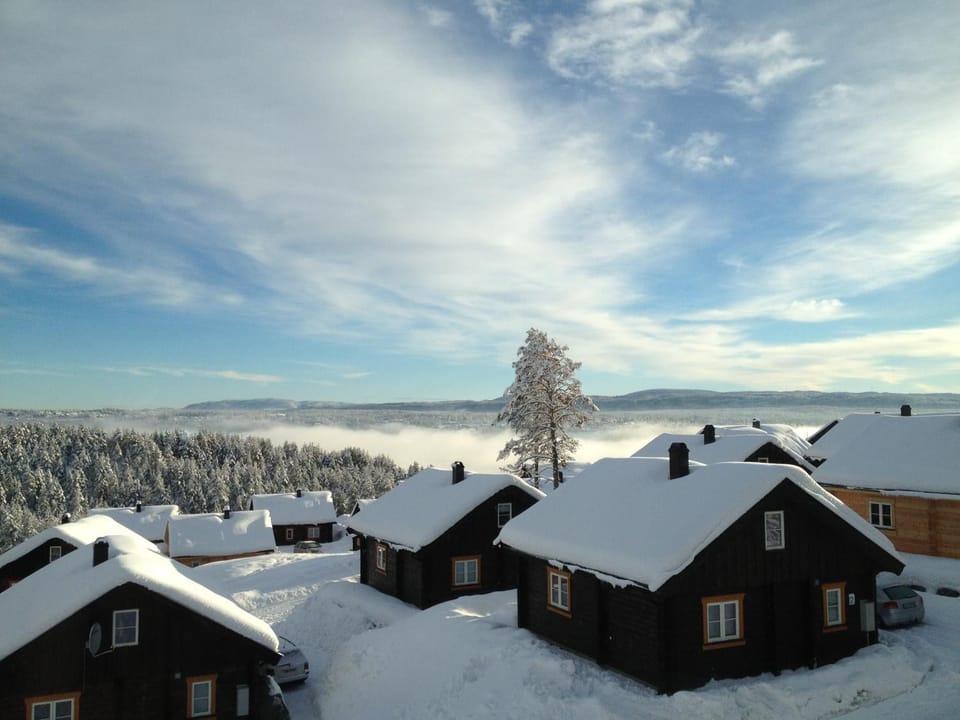 Property building, Winter
