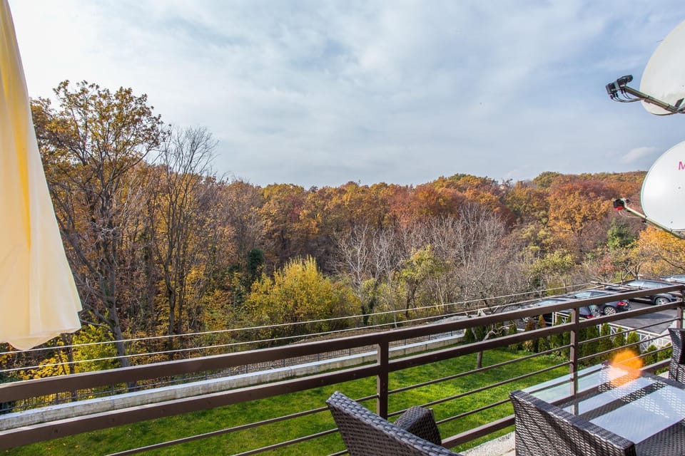 Day, Natural landscape, Autumn, On site