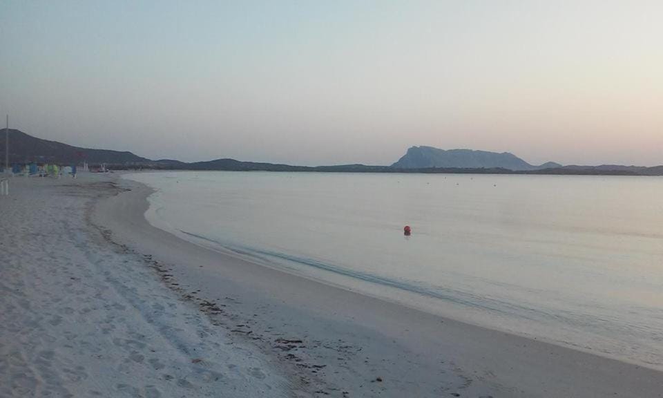 Natural landscape, Beach, Hiking, Sunrise