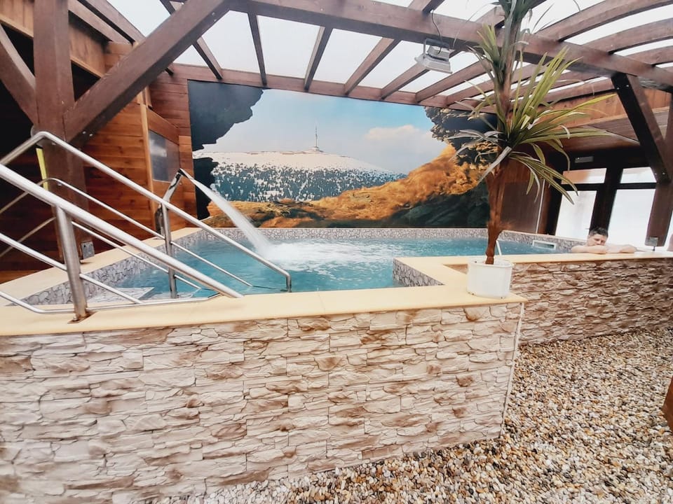 Spa and wellness centre/facilities, Swimming pool