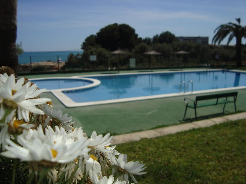 Swimming pool, Swimming pool