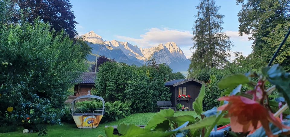 Garden, Garden view, Garden view
