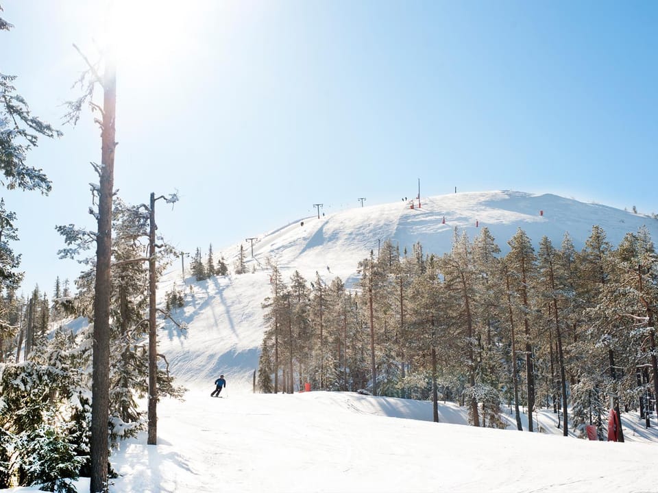 Day, Natural landscape, Winter, Ski School, Ski School, Skiing, Skiing, On site, Time of day