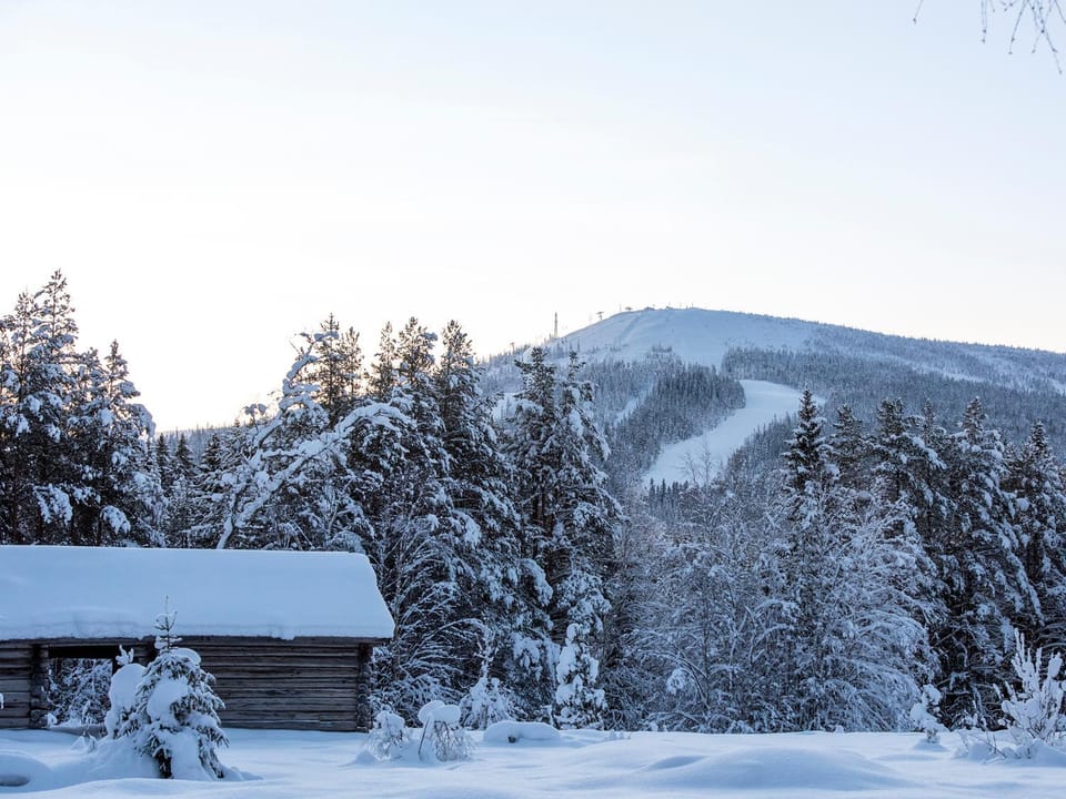 Winter, Skiing, Skiing