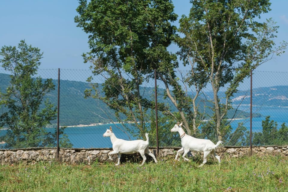 Chambre d'hotes - Ferme de Chanteraine Bed and Breakfast in Aiguines