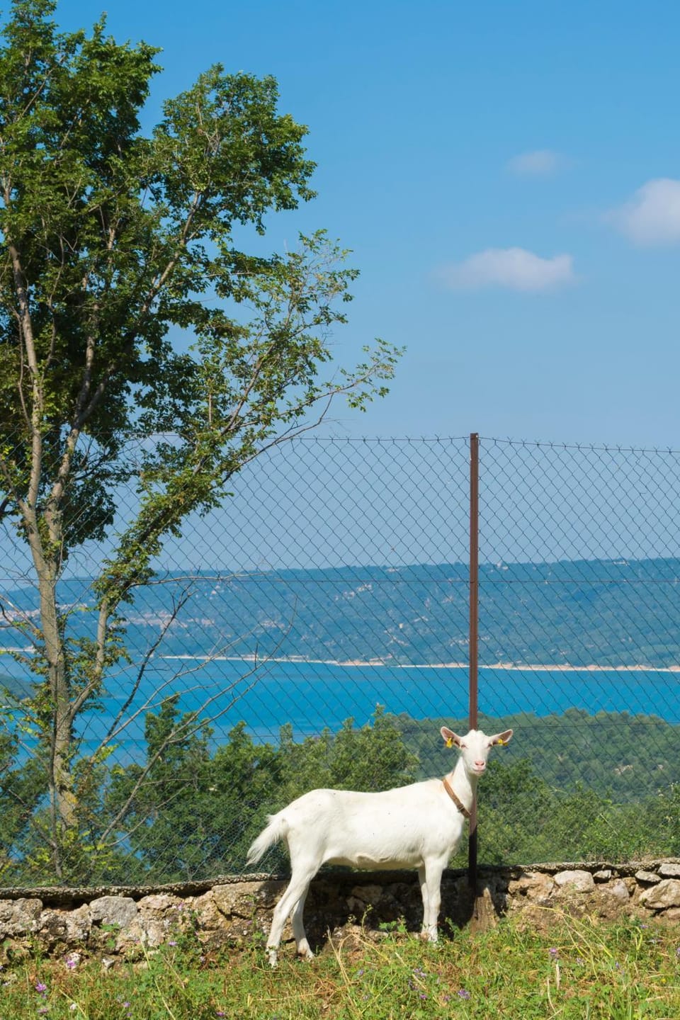 Chambre d'hotes - Ferme de Chanteraine Bed and Breakfast in Aiguines
