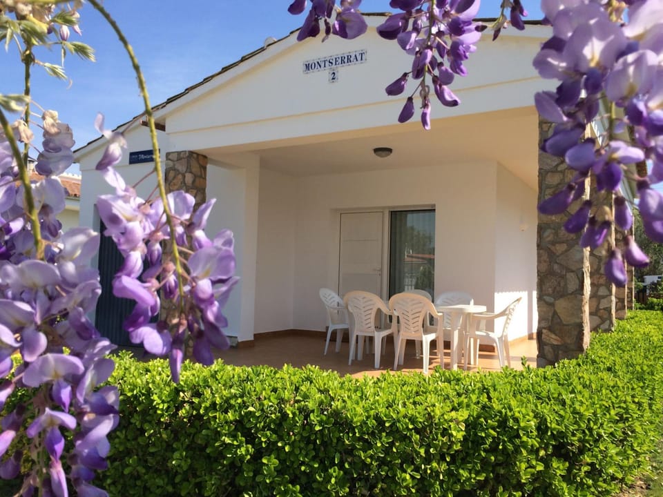 Patio, Facade/entrance