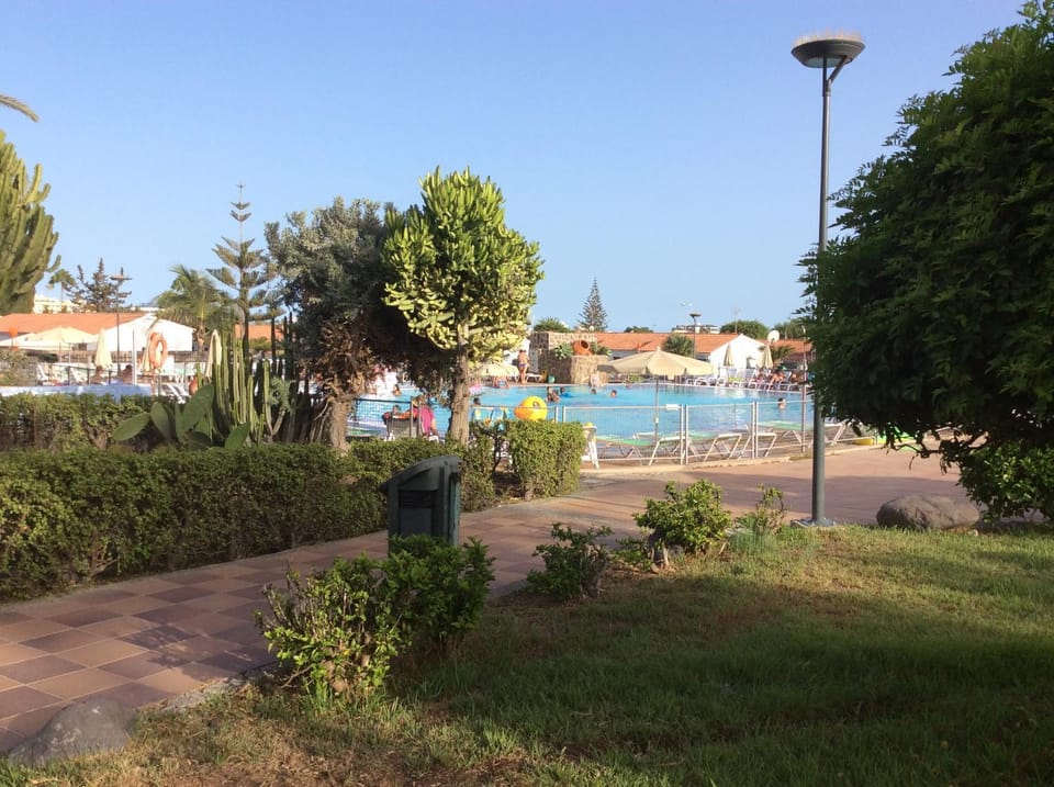 Garden, Swimming pool