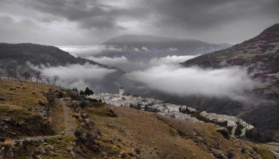 Natural landscape