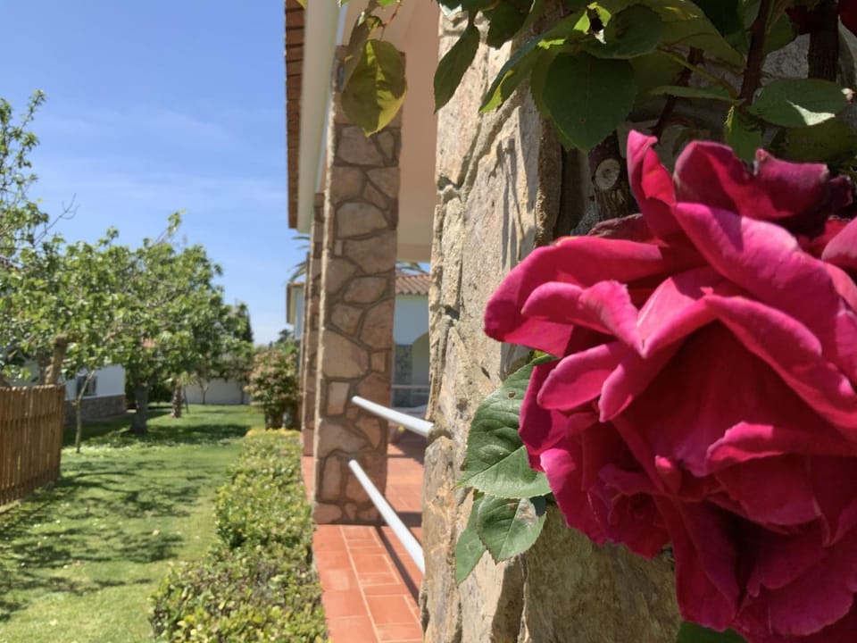 Property building, Patio, Garden