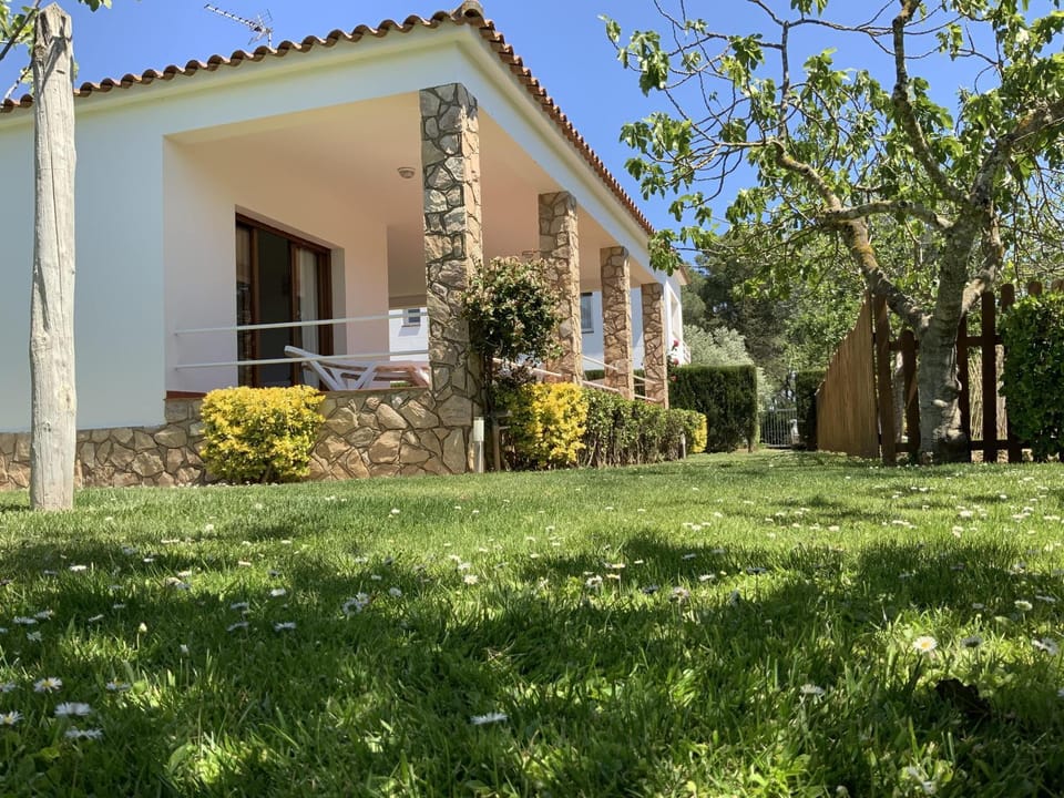 Property building, Patio, Facade/entrance, Garden