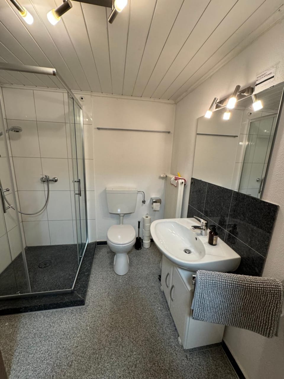 Shower, Toilet, Bathroom