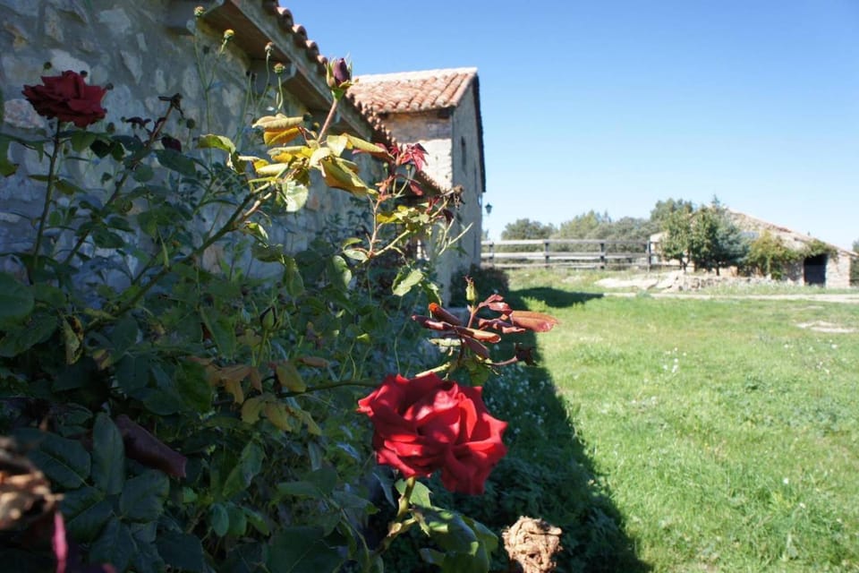 Masia La Casablanca House in Valencian Community