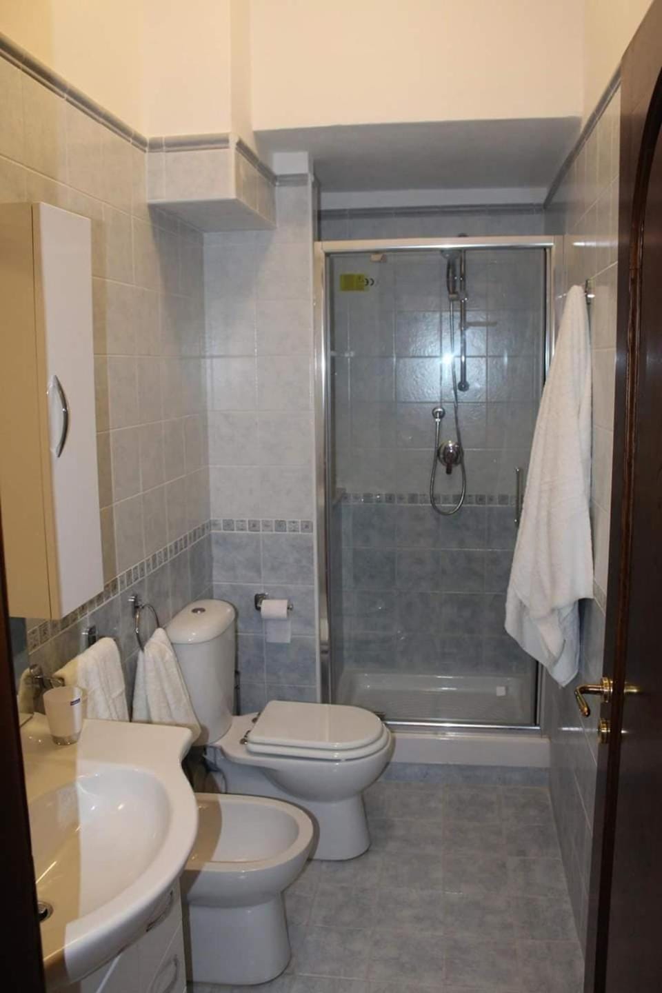 Shower, Toilet, Bathroom, bidet, towels