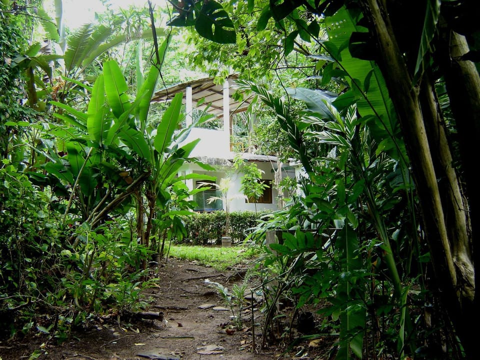 Natural landscape, Area and facilities