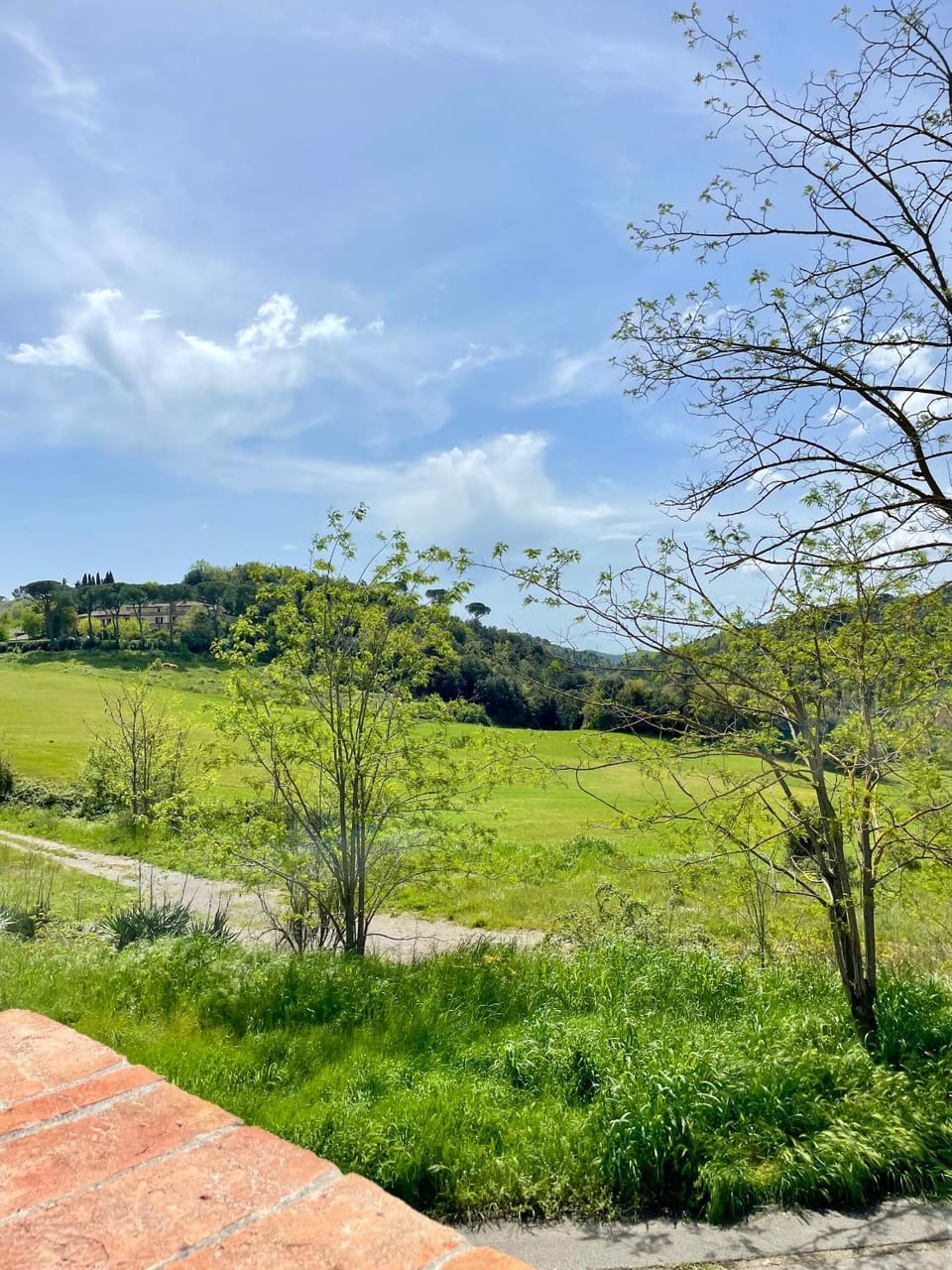 Appartamenti le Ginestre Apartment in Tuscany