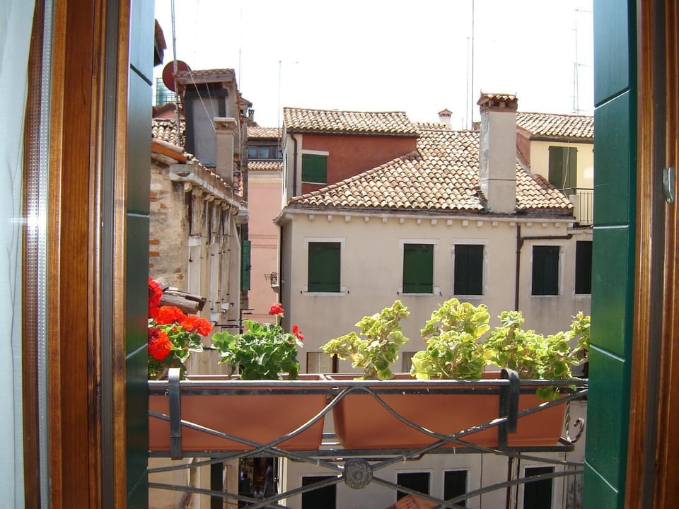 View (from property/room)
