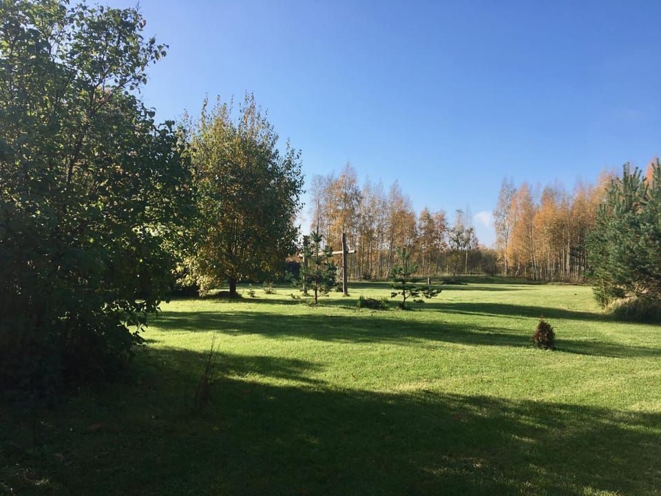 Natural landscape, Autumn, On site