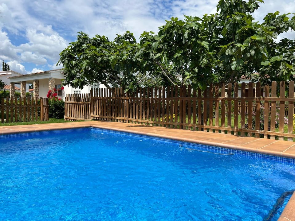Garden, Garden view, Pool view, Swimming pool