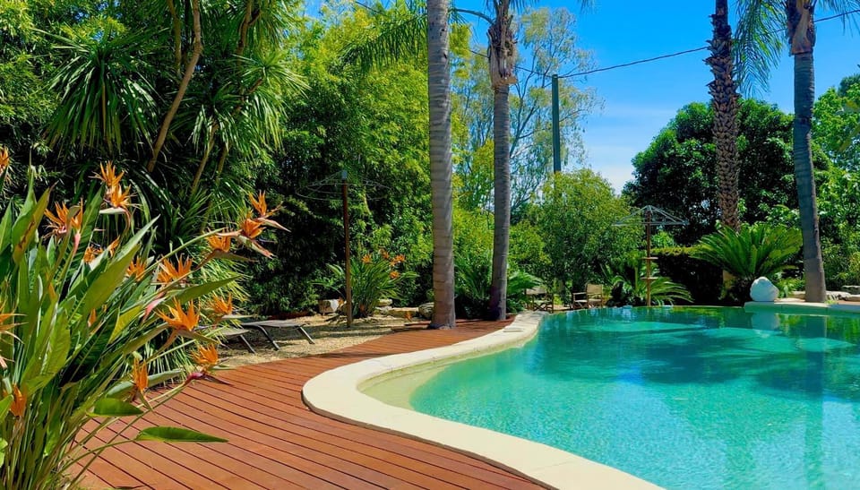 Natural landscape, Garden, Garden view, Pool view, Swimming pool