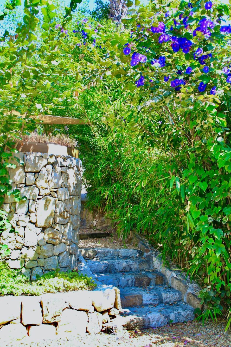 Day, Garden, Garden view
