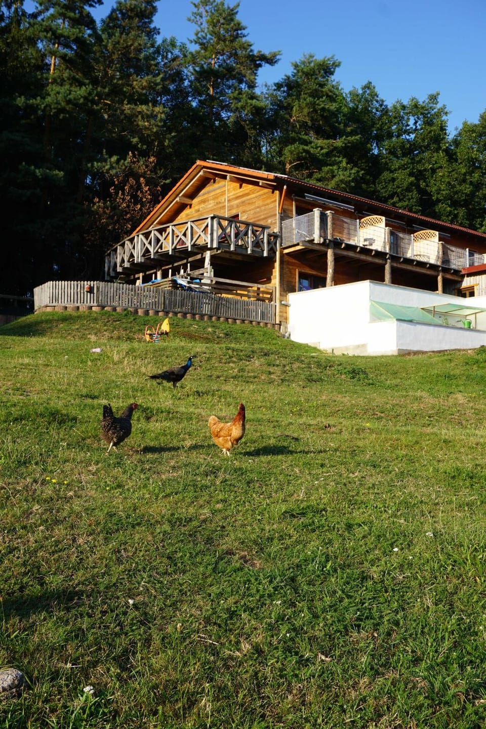 Property building