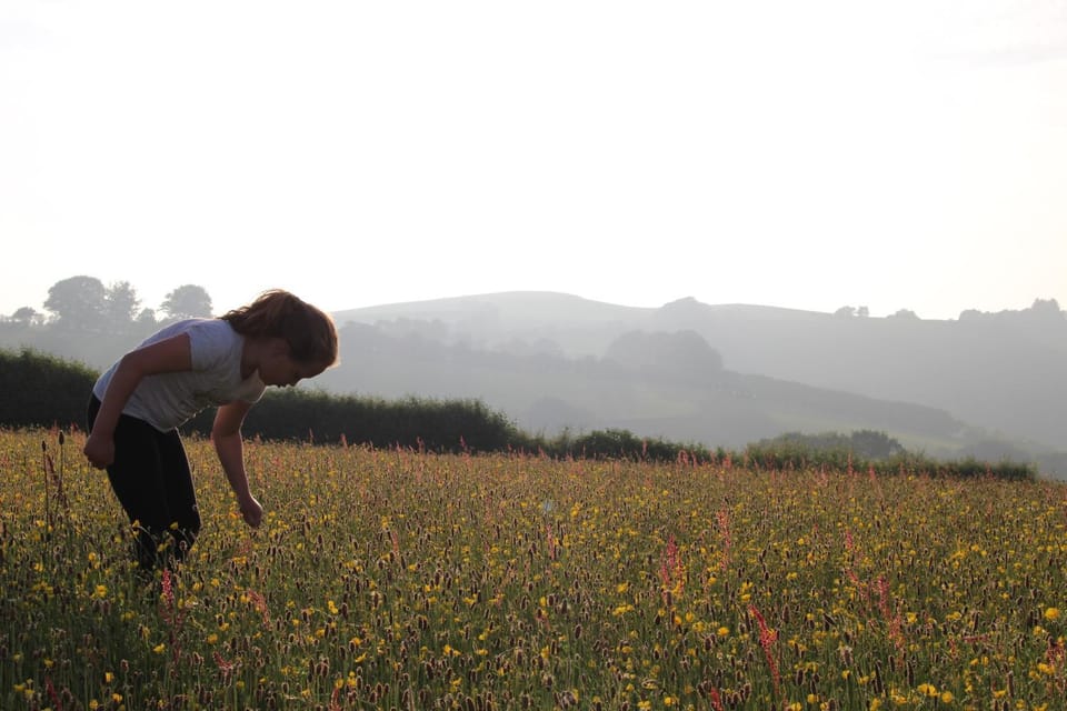 Spring, People, Natural landscape, Sunrise