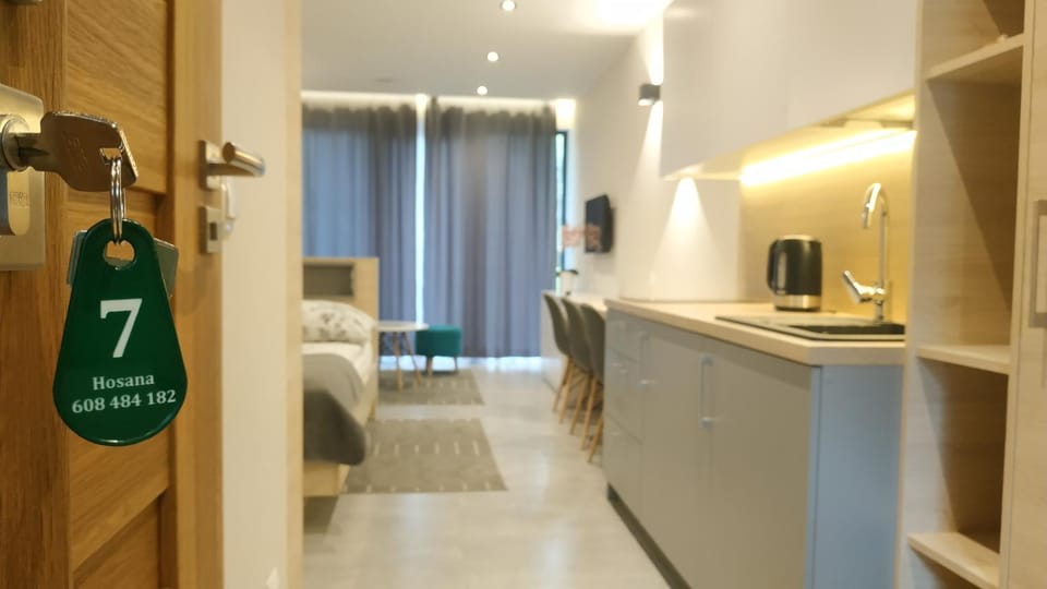 Hosana Zakopane Pokoje Gościnne i Apartamenty Vacation rental in Zakopane