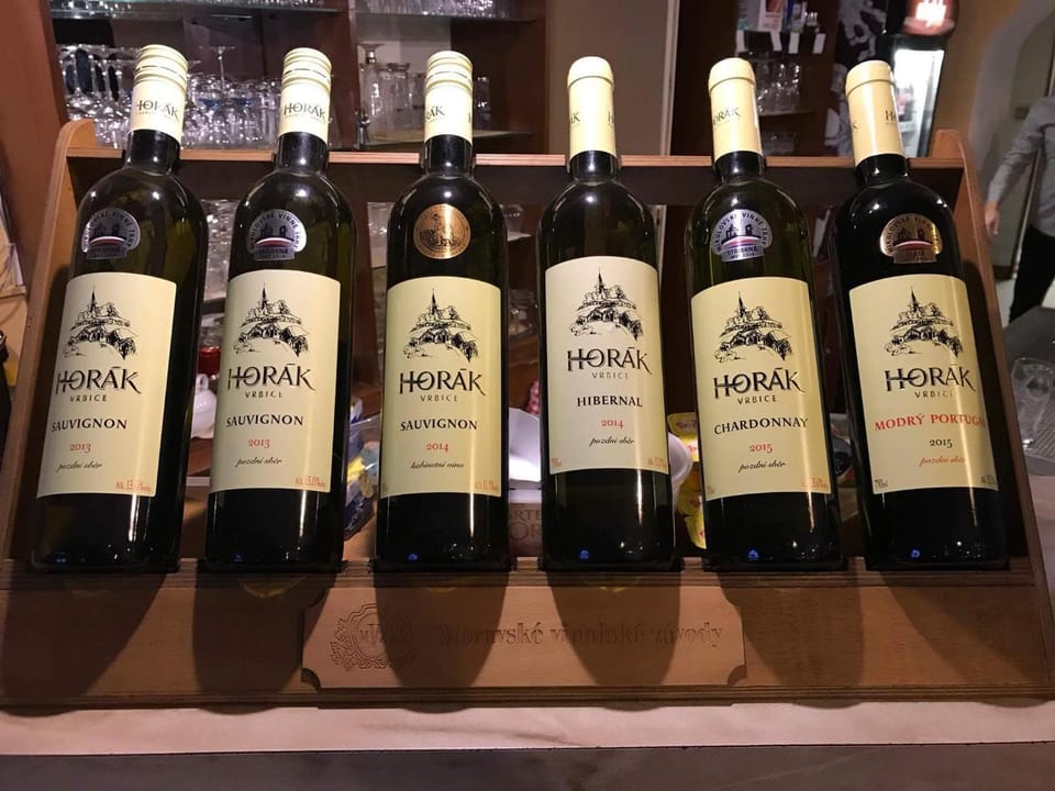 Rybářská restaurace a penzion u Horáků Bed and Breakfast in Czechia
