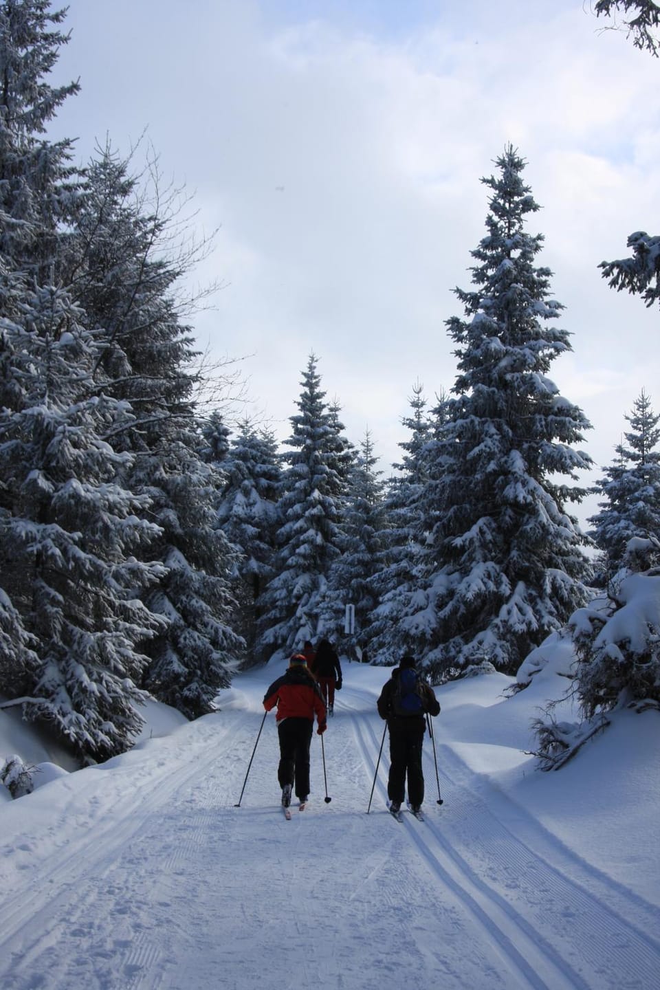 Natural landscape, Winter, Skiing